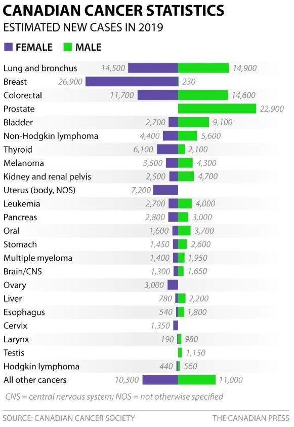 Precision medicine helping more people survive blood cancers: report - image