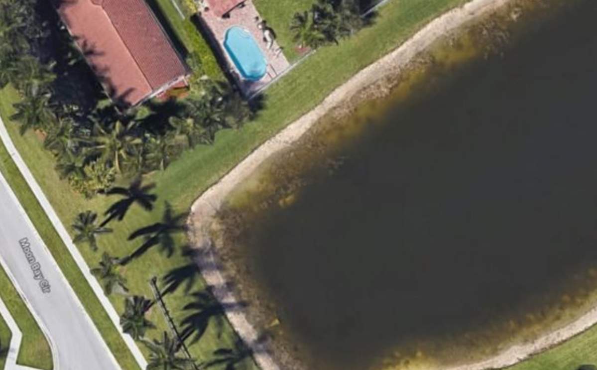A white car can be seen in the top left corner of the murky pond.