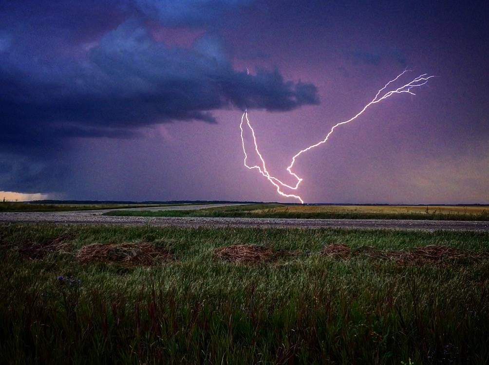 Oak Hammock Marsh, Manitoba.