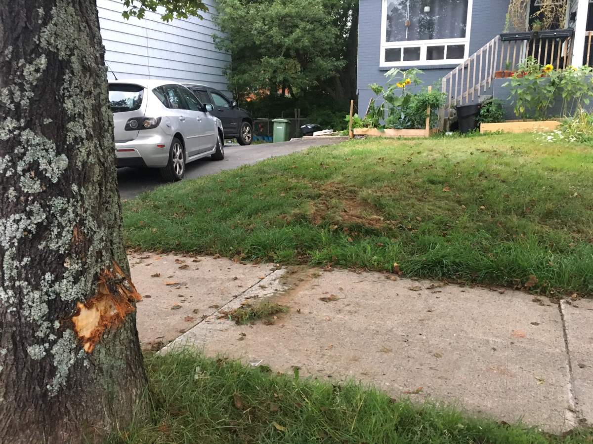Halifax Regional Police are looking for two suspects after shots were fired during an attempt to stop a stolen vehicle on Brule Street in Dartmouth. 
