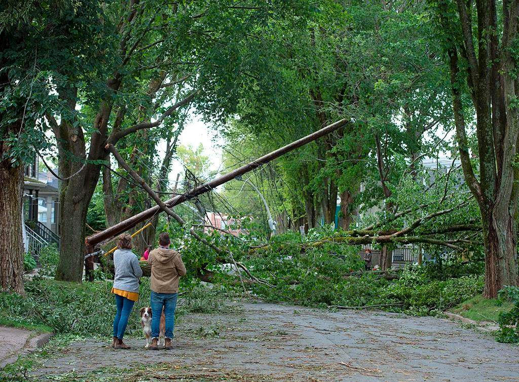 A street is blocked by fallen trees in Halifax on Sunday, Sept. 8, 2019. 