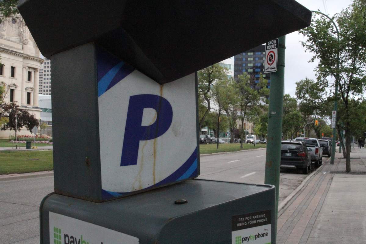 Pay parking machine