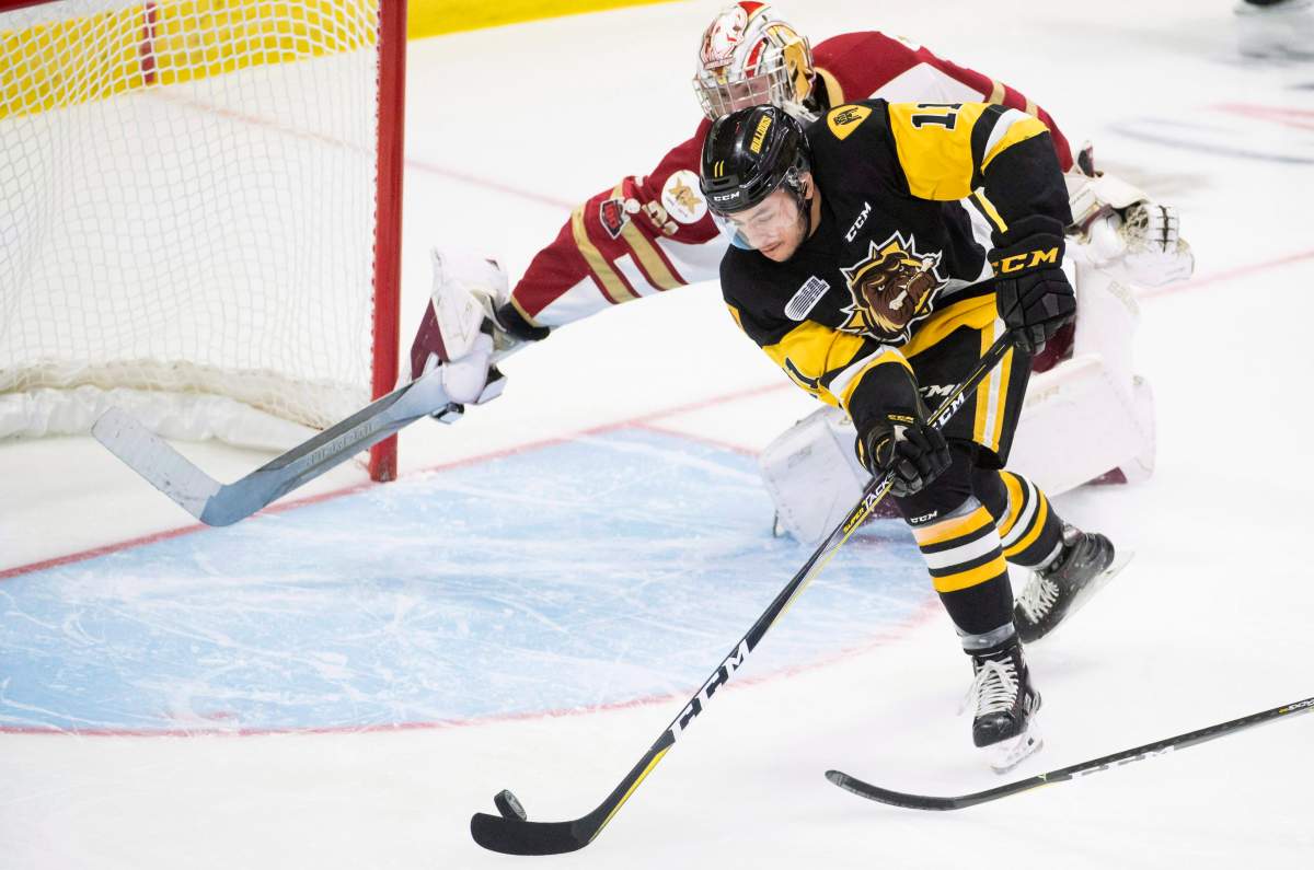 OHL Hamilton Bulldogs forward Isaac Nurse (11) fails to get a shot past QMJHL Acadie-Bathurst Titan goalie Evan Fitzpatrick (31) during first-period Memorial Cup action in Regina on Tuesday, May, 22, 2018.
