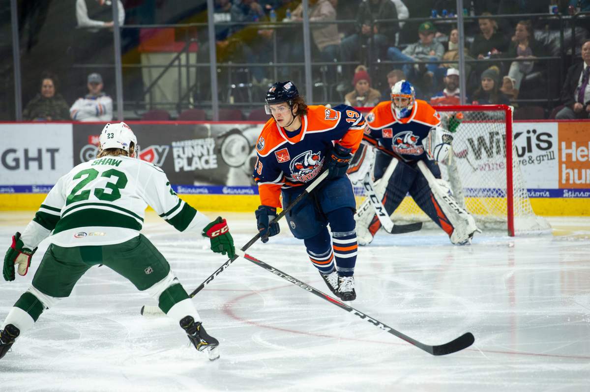 Logan Day had 34 points for the Bakersfield Condors in 2018/19.