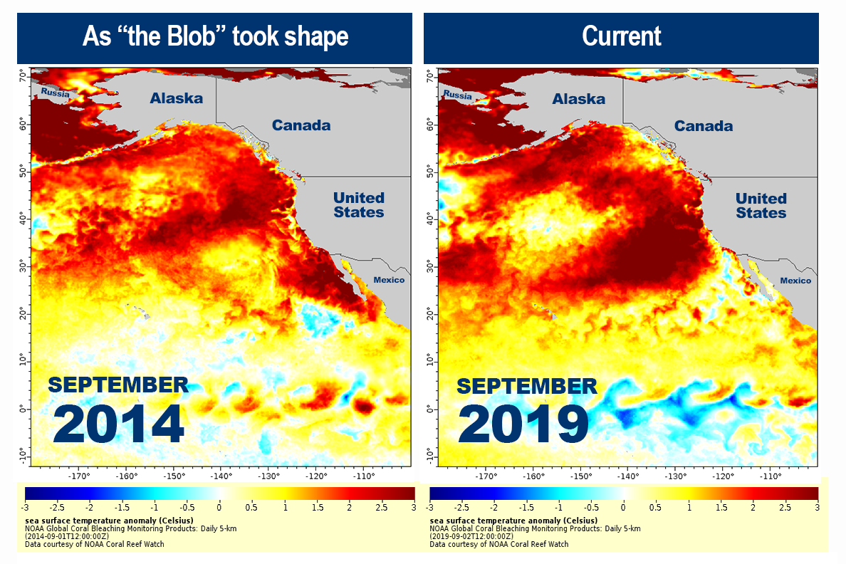 NOAA