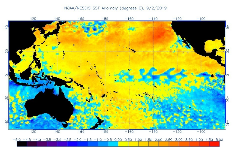 The marine heatwave that has formed off the West Coast of North America is currently close to the warmest area in the Pacific Ocean. The map shows sea surface temperature anomalies, with darker orange representing temperatures farther above average