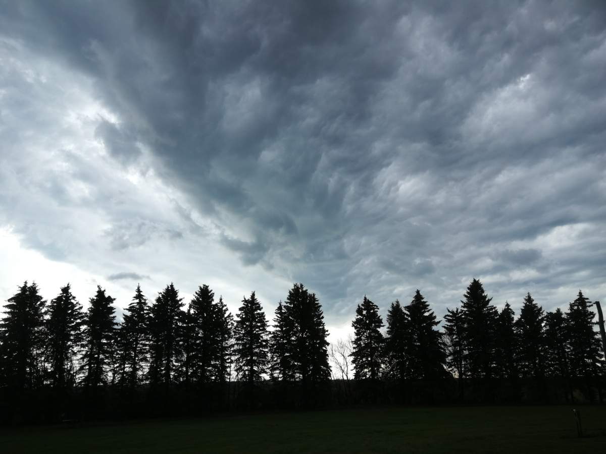 Boissevain, Manitoba.