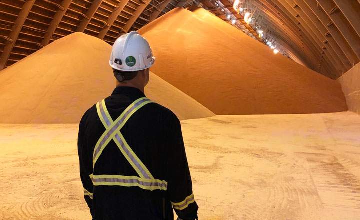 Nutrien’s share prices are up 14 per cent since last week amid market worries that the war in Ukraine could exacerbate a global supply shortage.