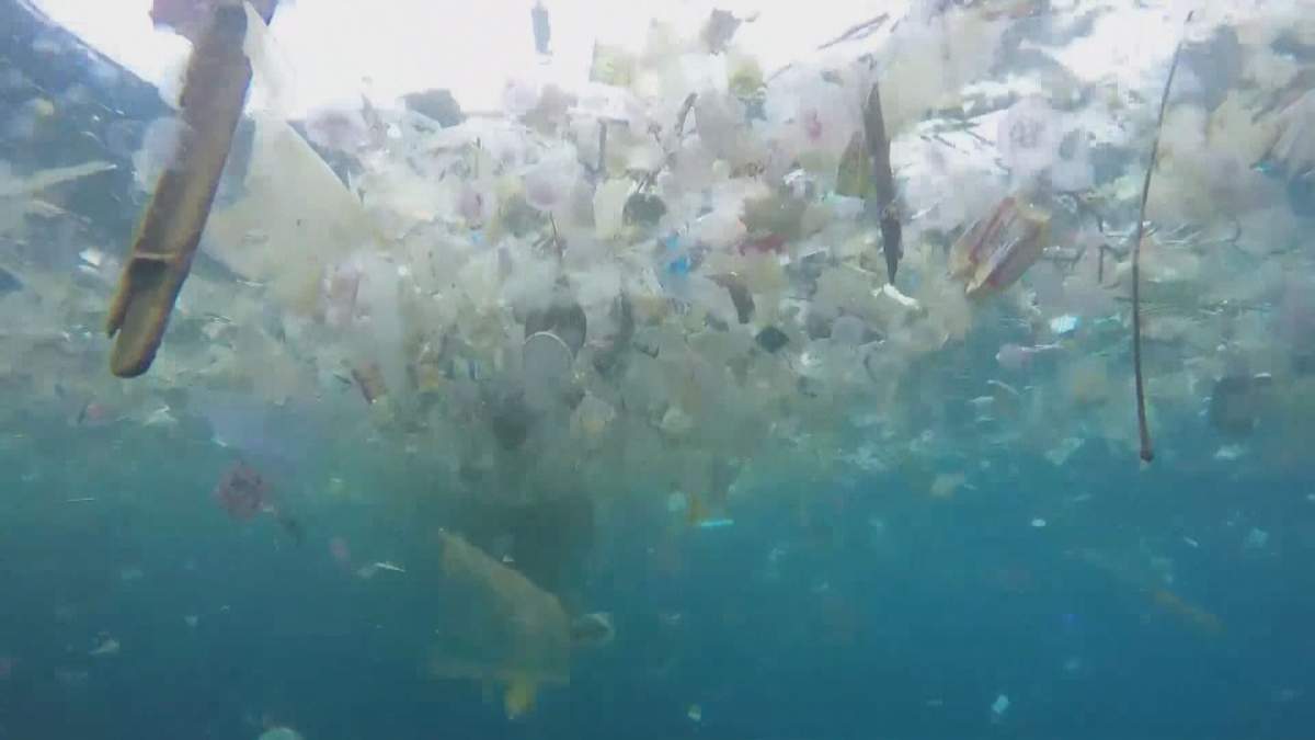 A Canadian not-for-profit organization believes they have a solution to plastic pollution.