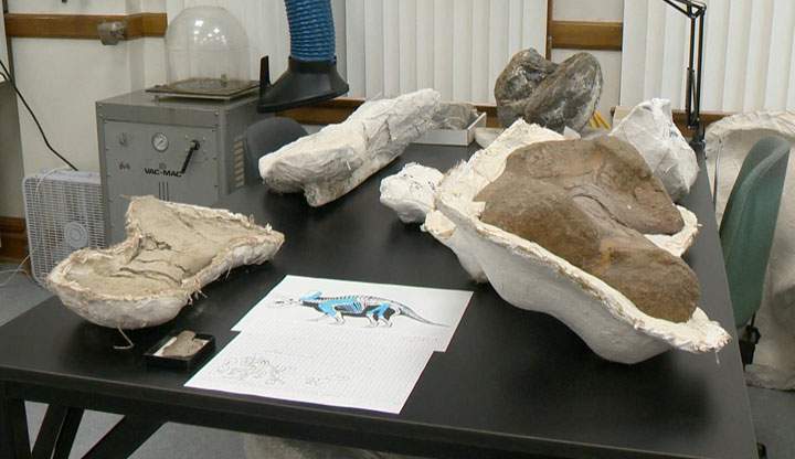 The Royal Saskatchewan Museum (RSM) showed off some recent discoveries on Monday in Regina.