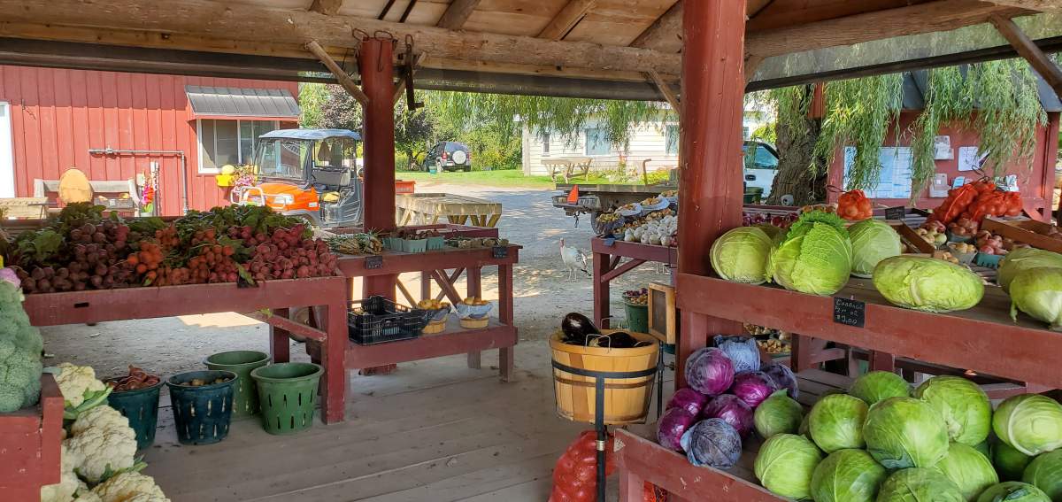 Produce sold at Hagerman Farms, Prince Edward County.