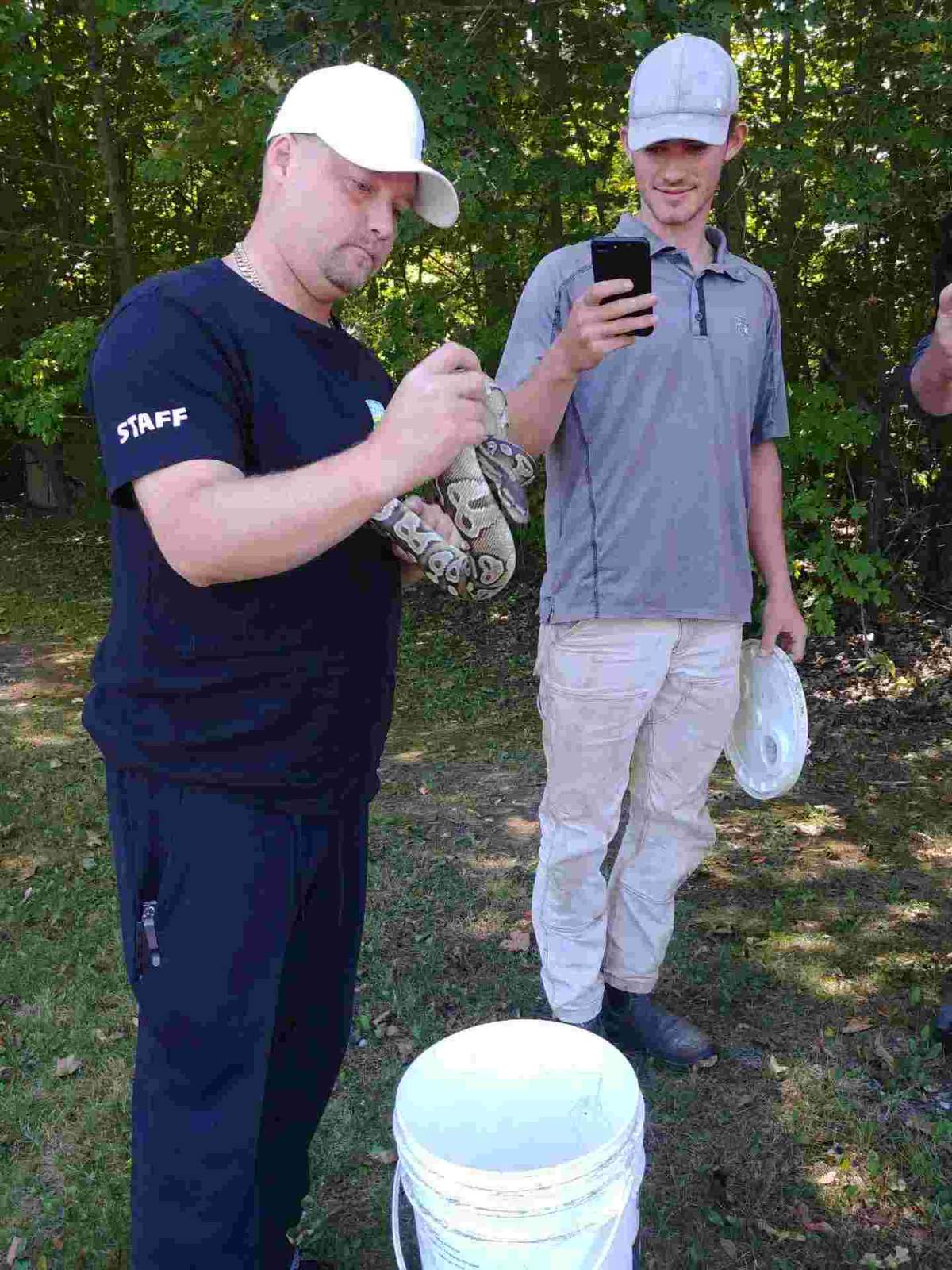 Bry Loyst of the Indian River Reptile and Dinosaur Park removes a snake from the Kawartha Golf and Country Club course on Thursday.
