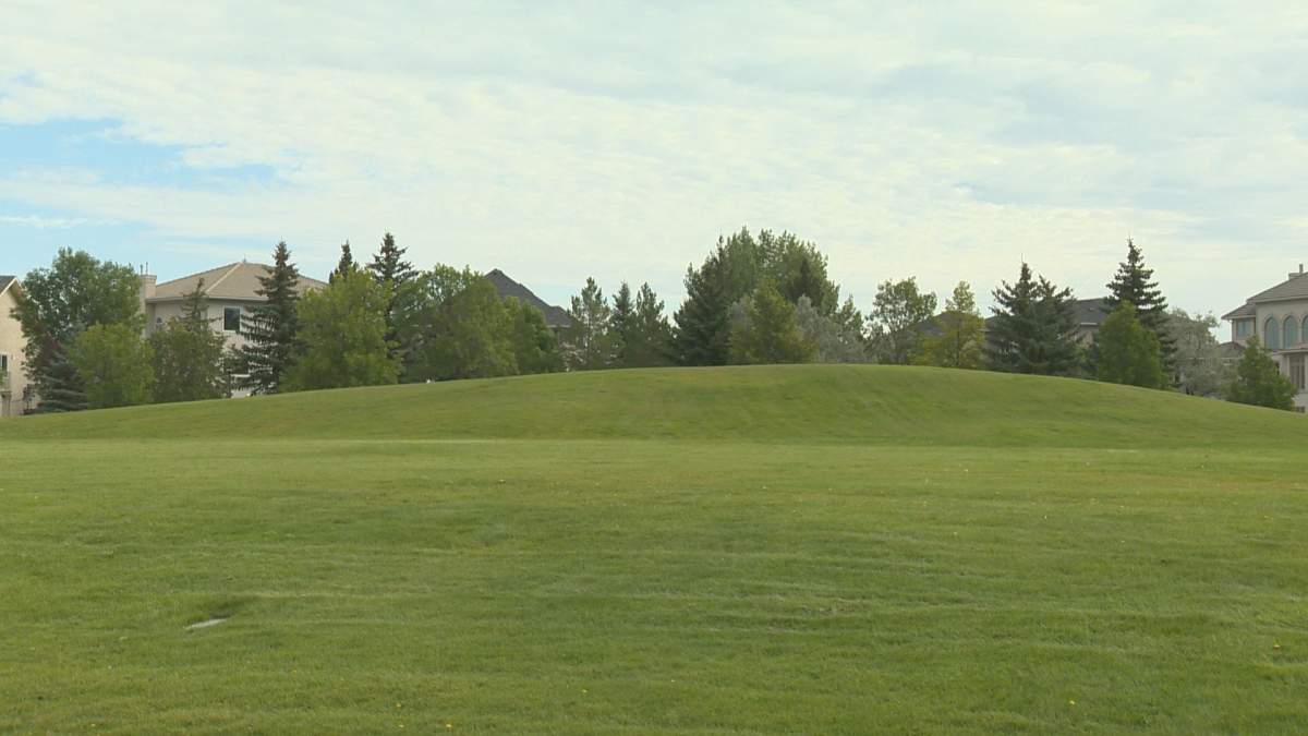 The part of Wascana View park, dubbed by locals as “Rabbit Hill”, where Nistor’s dog Coffee was playing before he got sick.