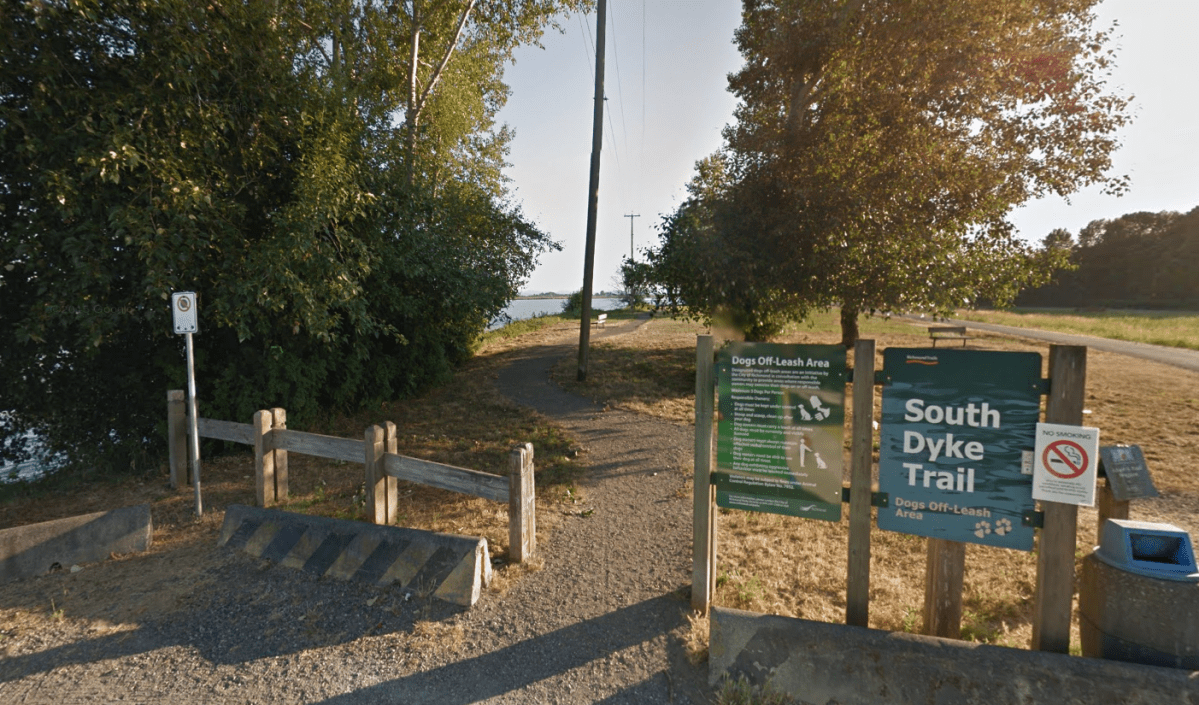 The City of Richmond says it is investigating reports someone left meat stuffed with needles in a popular dog park on Wednesday. 