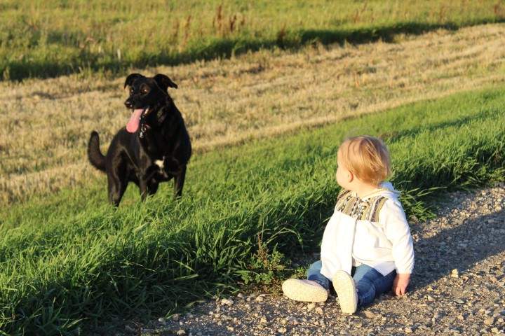 The Your Saskatchewan photo for October 9 was taken by Samantha Crumley near Regina.