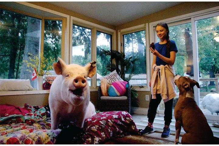 On Tuesday afternoon the 16-year-old and her father stopped by the Campbellville, Ont., animal sanctuary of Esther the Wonder Pig, a social media sensation with two books written about her and an upcoming feature film deal.