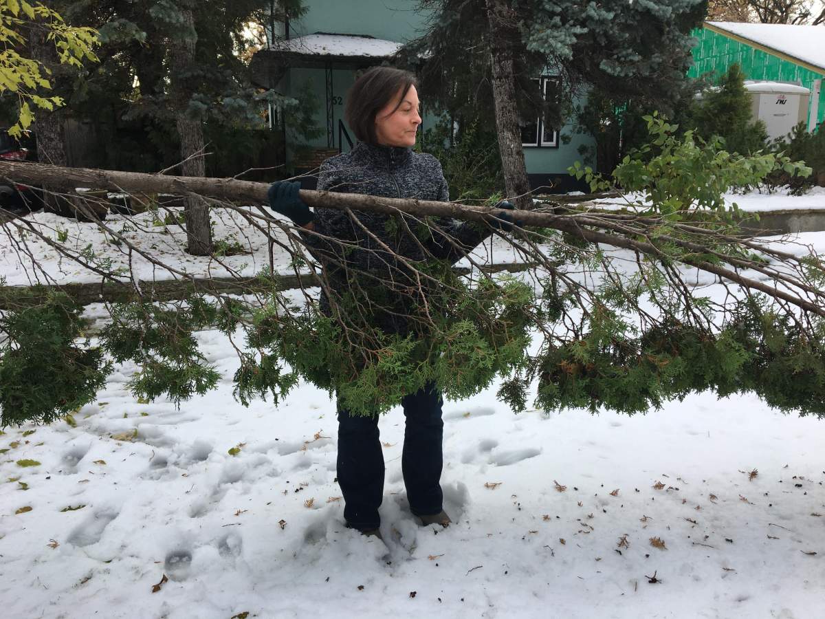 Valarie Burachynsky cleans up her front yard on Monday morning in Old St. Vital.