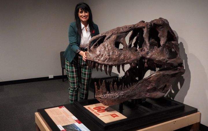 Culture, Multiculturalism and Status of Women Minister Leela Aheer with a cast of a Tyrannosaurus rex skull on display in the “Museums’ Choice: Fossil Favourites from Across Canada” exhibition.