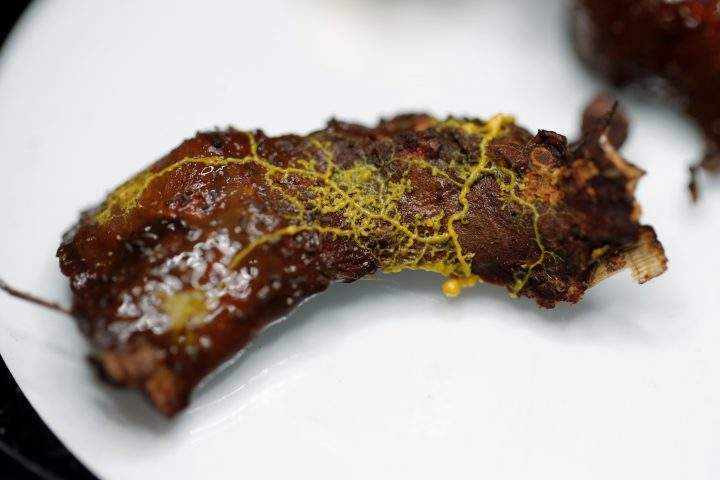 The “blob” slime mould (Physarum polycephalum), a single-celled organism forming over a piece of tree chunk, is pictured at the Paris Zoological Park during a press preview in Paris, France, Oct. 16, 2019.