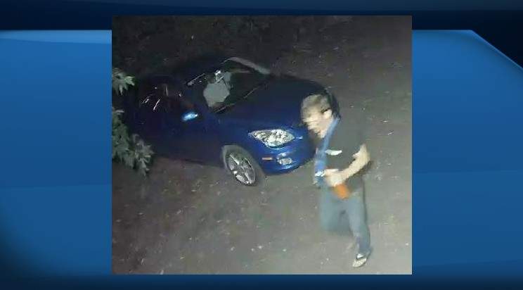 Ottawa police released photos of break and enter suspects hoping that the public will be able to identify them.