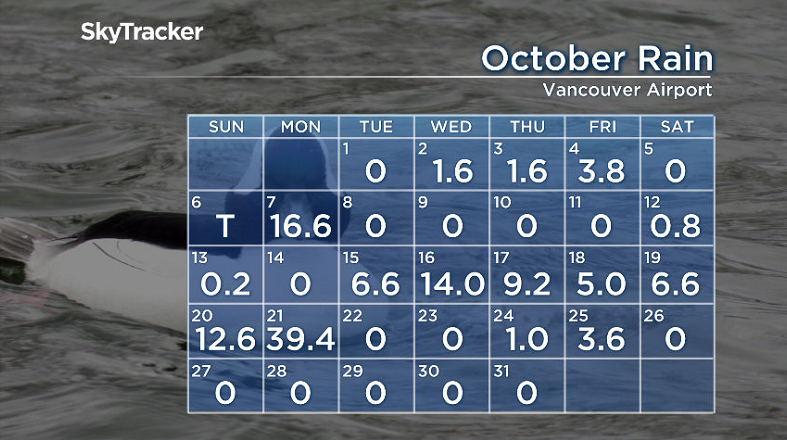 October 2019 rain at Vancouver International Airport
