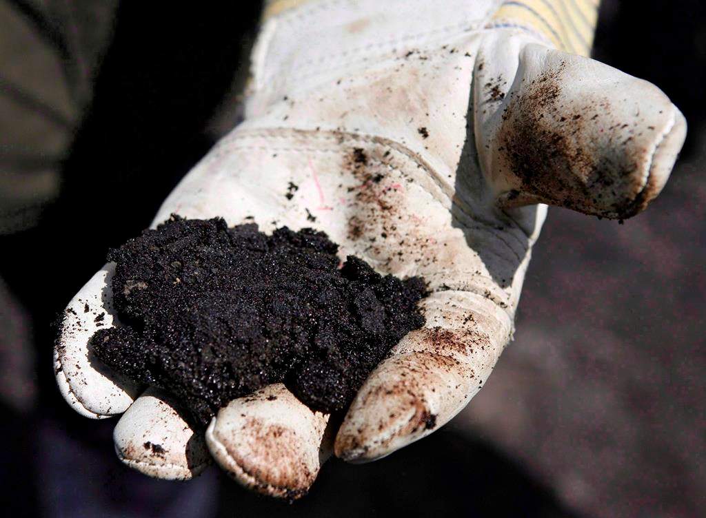 An oil worker holds raw sand bitumen near Fort McMurray, on July 9, 2008.THE CANADIAN PRESS/Jeff McIntosh.
