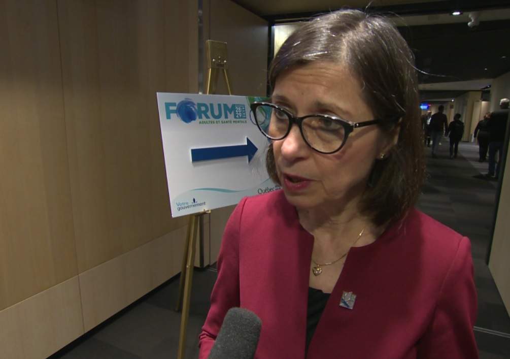Health Minister Danielle McCann said she will table her plan by next spring. Monday, October 28, 2019. 