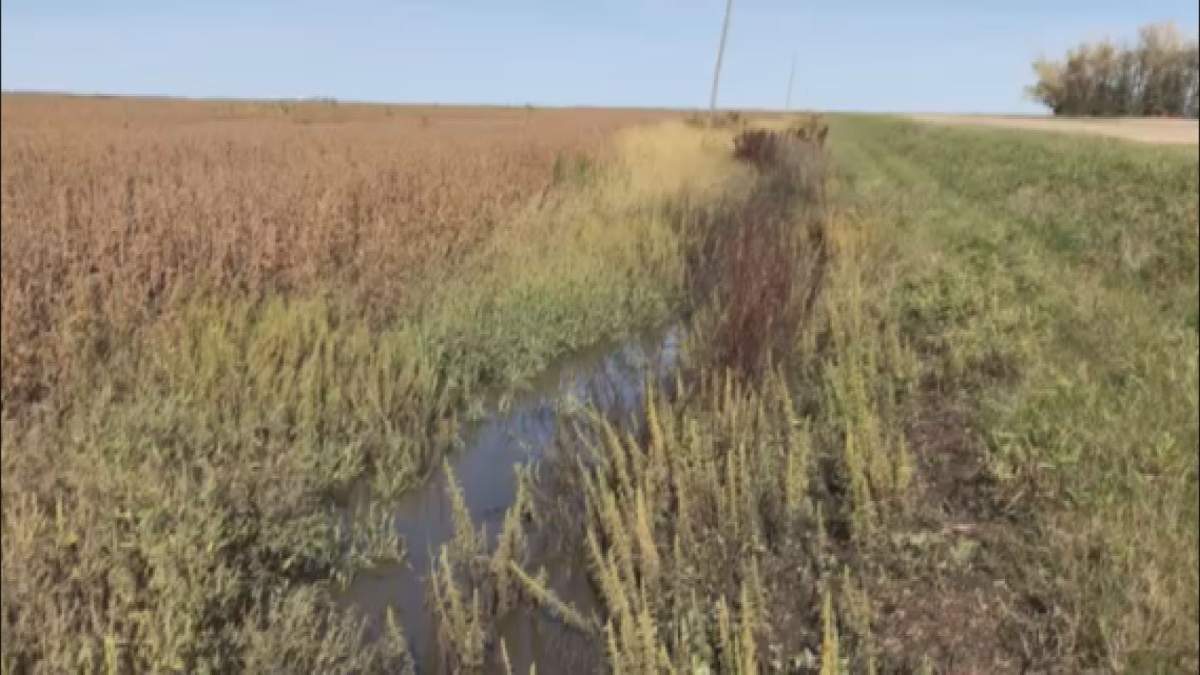 Farmers' field in Morris, Manitoba following record breaking rainfall numbers in 2019.