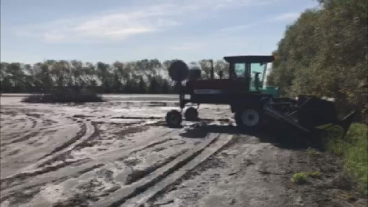 Farmers' field in Morris, Manitoba following record breaking rainfall numbers this season.