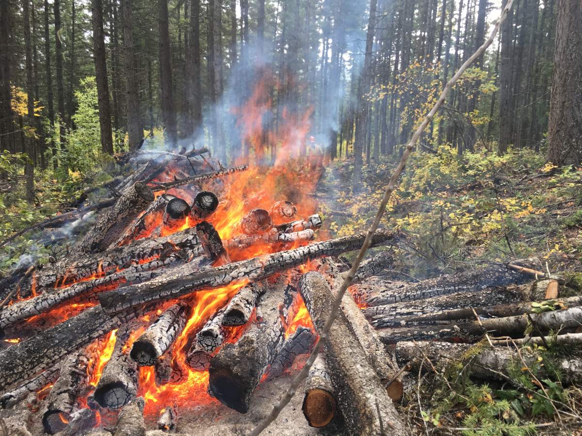 Controlled burns are a big part of the fuel modification work being done by the Westbank First Nation.