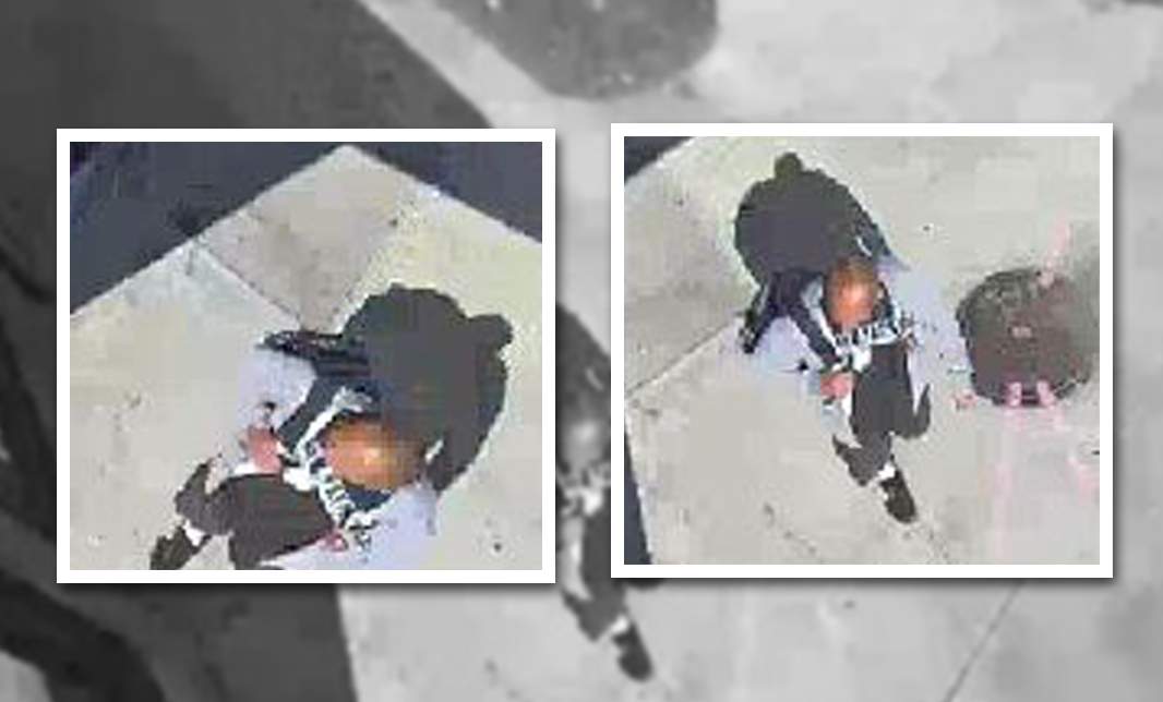 Hate graffiti vandal suspect caught on security video in downtown Hamilton.