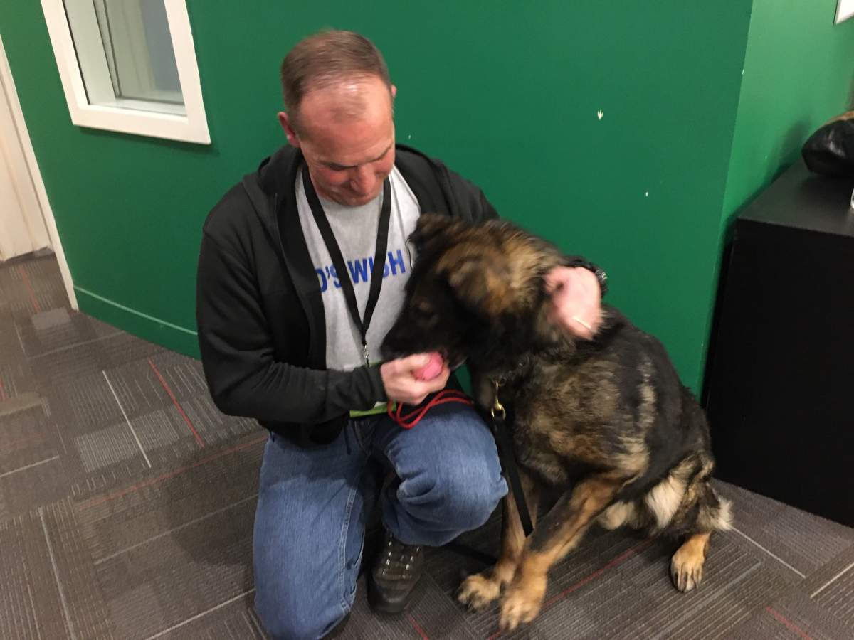 Insp. Leon Fiedler and Arctic were partners in the RCMP for eight years. Now retired, Arctic continues to live with Fiedler.