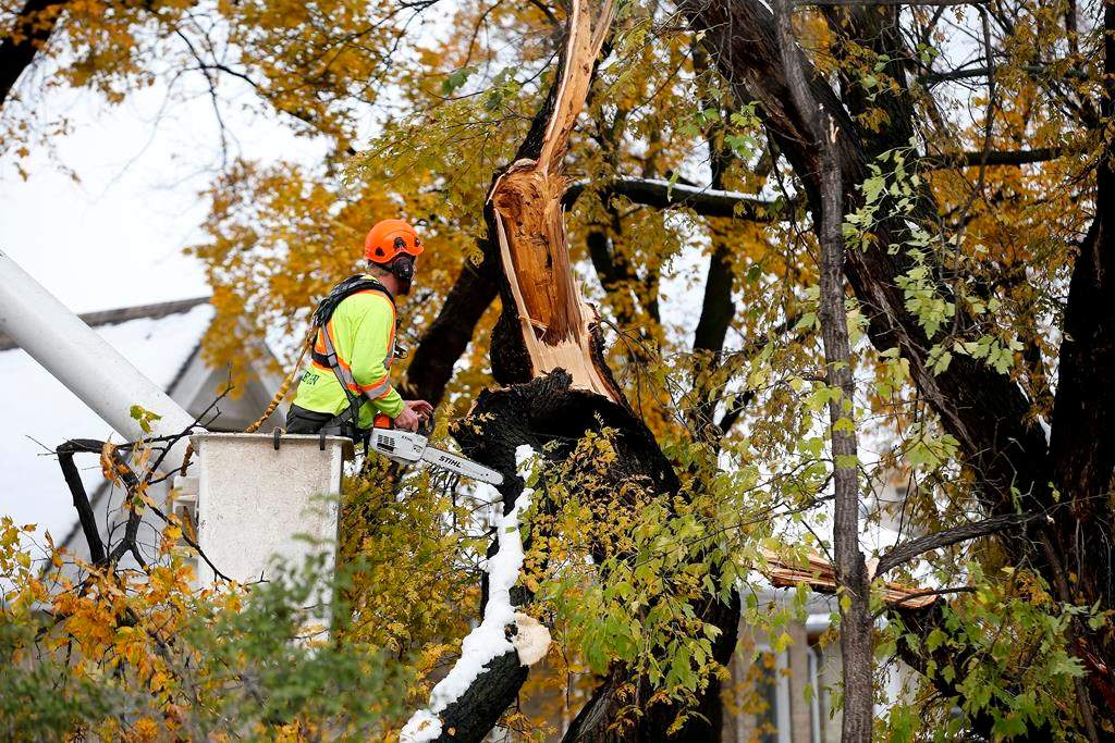 Crews cleanup after a snow storm which hit parts of Manitoba Thursday and Friday in Winnipeg on Sunday, October 13, 2019. THE CANADIAN PRESS/John Woods.