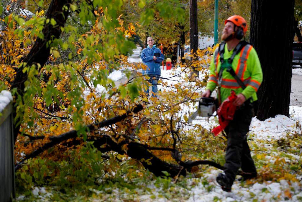 Crews cleanup after a snow storm which hit parts of Manitoba Thursday and Friday in Winnipeg on Sunday, October 13, 2019. THE CANADIAN PRESS/John Woods.