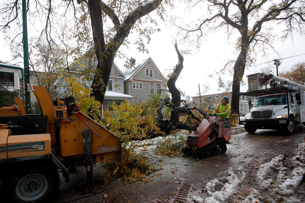 Crews clean up after a snow storm which hit parts of Manitoba Thursday and Friday in Winnipeg on Sunday, October 13, 2019.