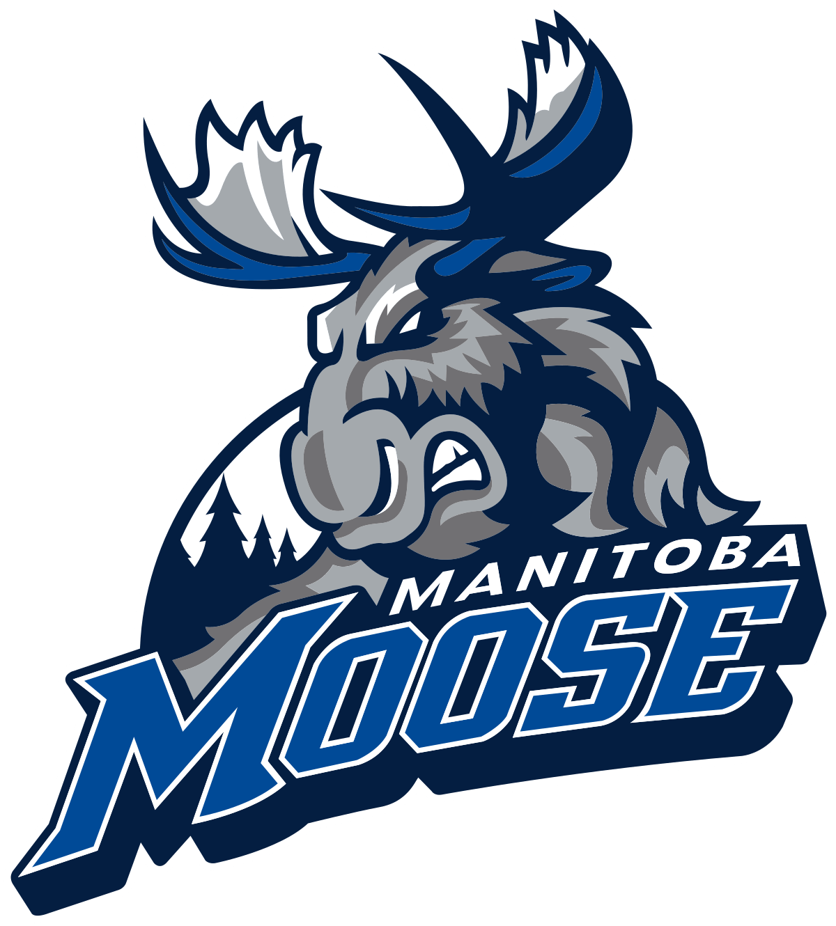 Manitoba Moose season ends with Game 4 loss to Grand Rapids - image