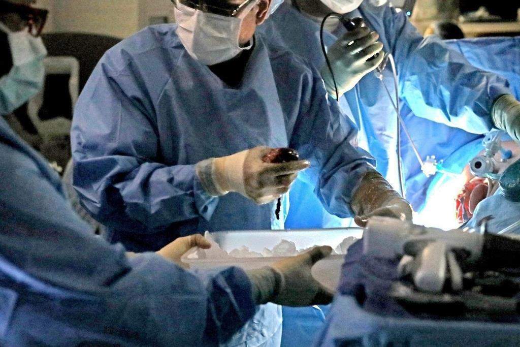 In this Jan. 17, 2018, file photo, a transplant surgeon holds the kidney from a donor during surgery in St. Louis. America's transplant system is run by a network of government contractors that do the tough job of collecting organs from deceased donors. Those groups are under fire for letting potentially usable organs go to waste.