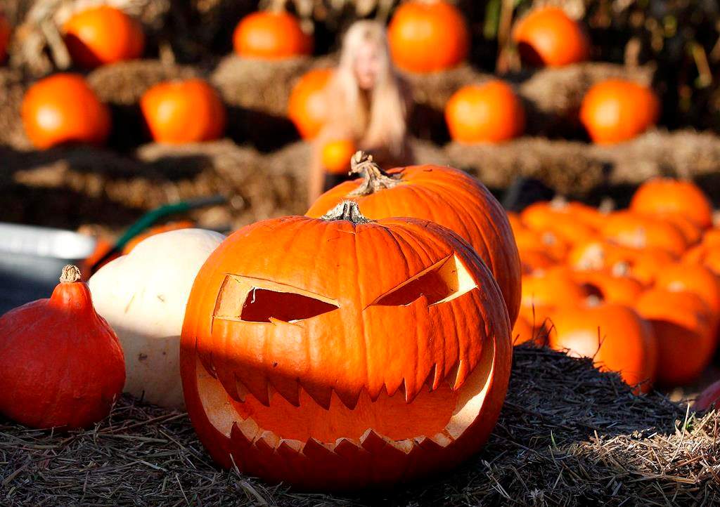 Port Hope police are investigating a series of mischief involving pumpkins being smashed and featuring racial slurs.