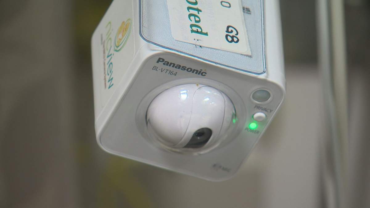 The NICView cameras were added to the Stollery in late May 2019.