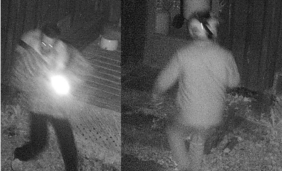 OPP are looking for these two people, who were captured by a camera on the property of a cabin that was burned down near Plevna, Ont.