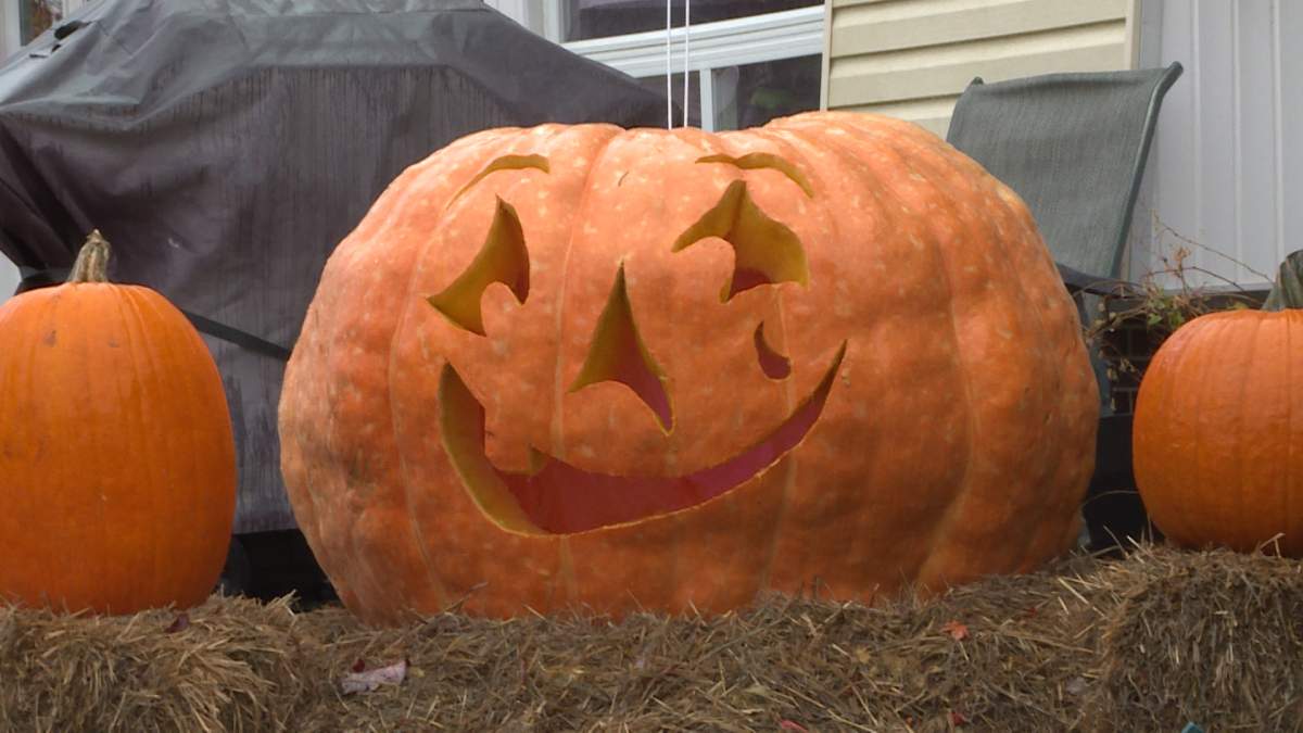 This year, Randy Evan’s pumpkin reached over 750 pounds. He says next year he’s aiming for 1000 pounds.