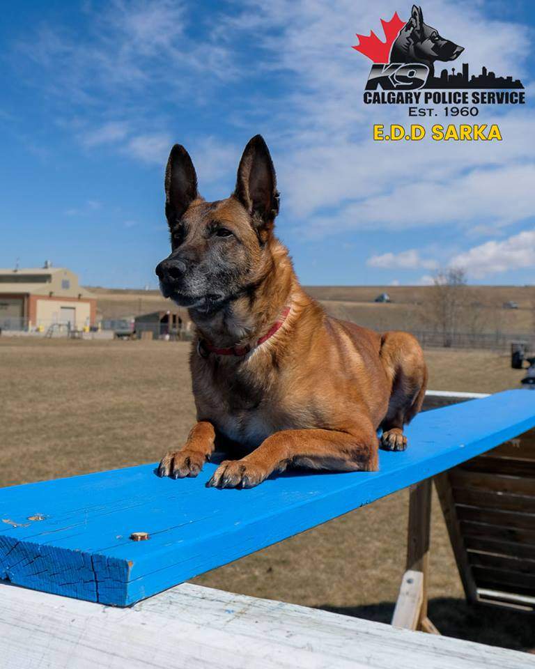 Sarka began her training with the Calgary Police Service in 2007.