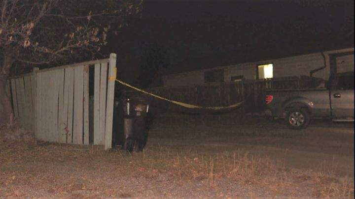 Calgary police investigate shots fired in the community of Erin Woods on Thursday. 