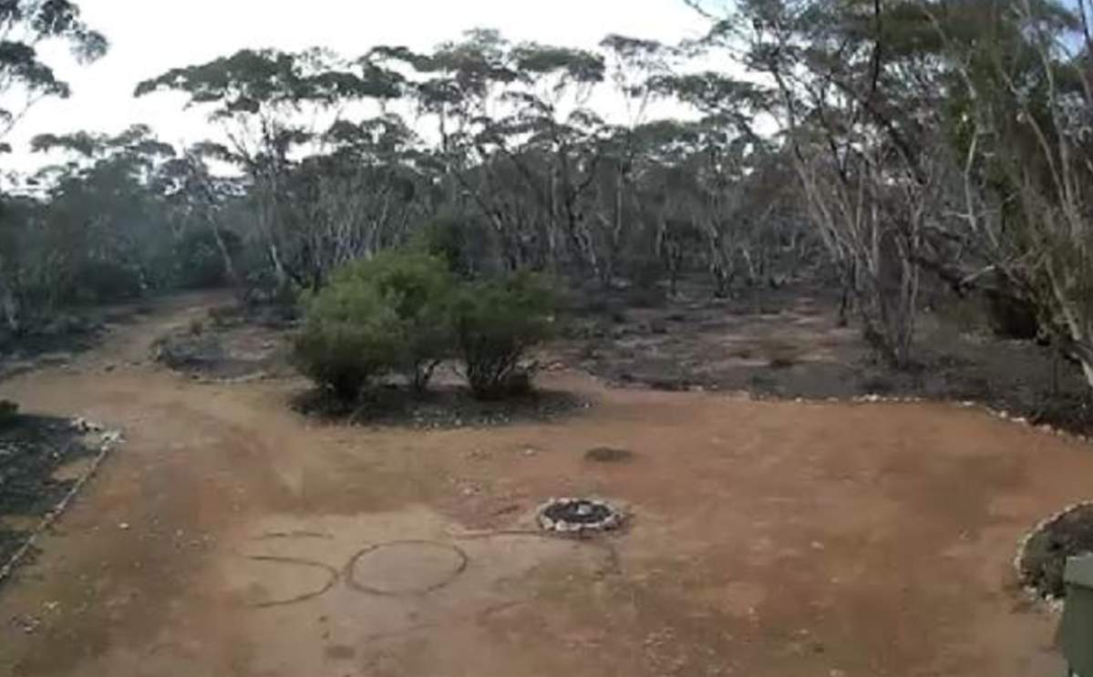 Deborah Pilgrim wrote "SOS" in the dirt on a Sedan, Australia, property, and her message was later discovered on the landowner's CCTV.