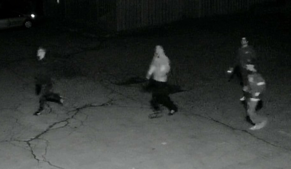 Police investigating anti-Semitic graffiti outside Hamilton synagogue - image