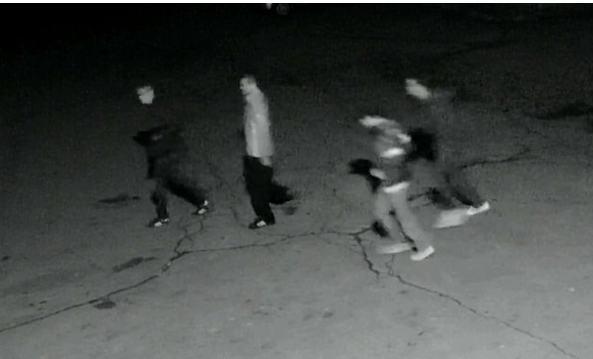 Police investigating anti-Semitic graffiti outside Hamilton synagogue - image