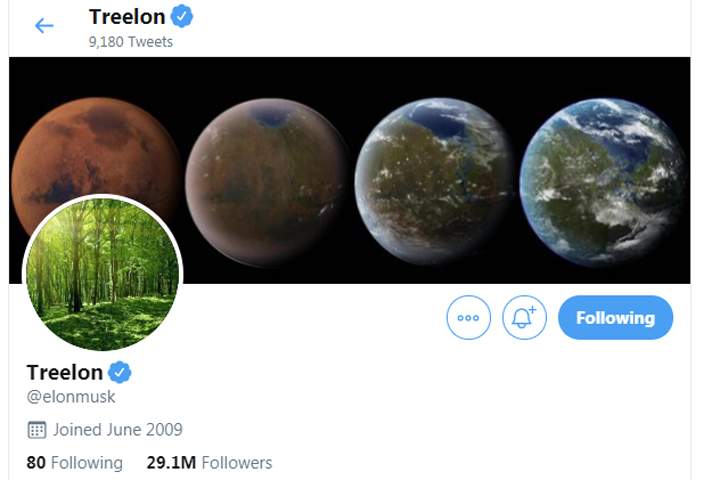 Elon Musk changed his Twitter name to “Treelon” after donating US$1 million to a tree-planting initiative.