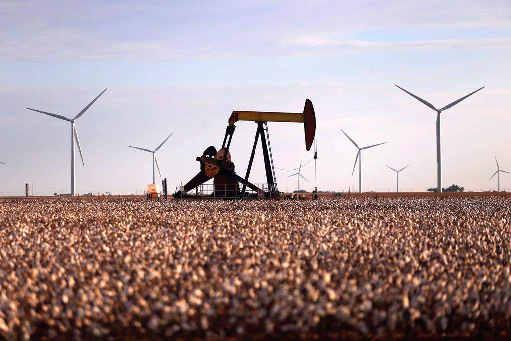 Climate change buzzwords: What do they mean to Albertans? - image