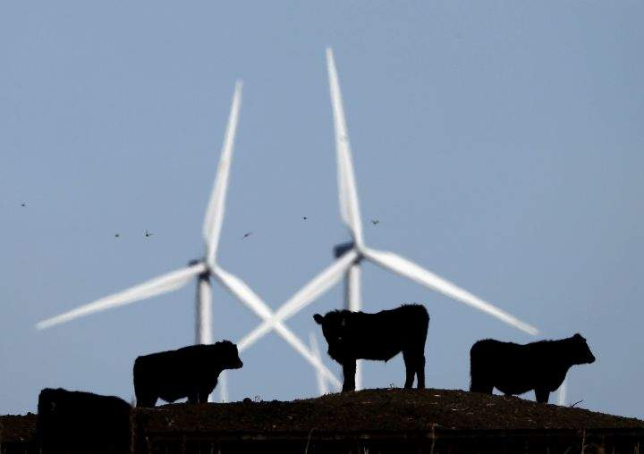 The president of the Canadian Wind Energy Association says the industry has proven it can compete on price with other sources of electrical power but now it must prove it can compete on reliability. 