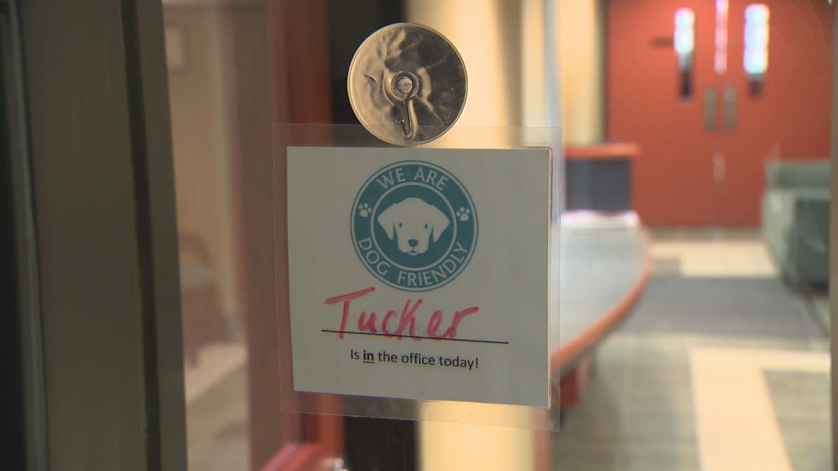 Is Tucker in the office? A sign notifies people at Quispamsis Town Hall.